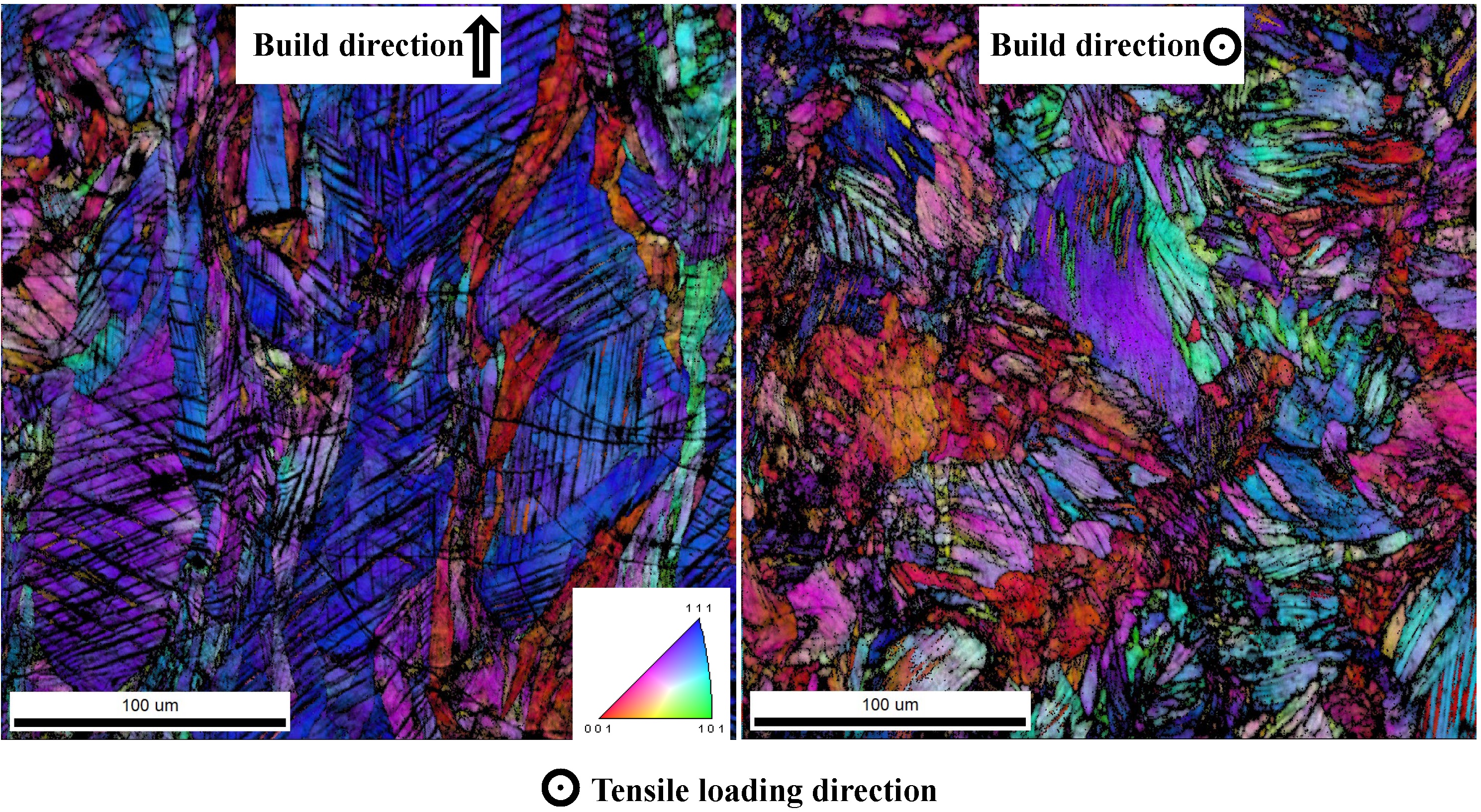 Microstructure of additively manufactured 316L stainless steel subjected to tensile loading